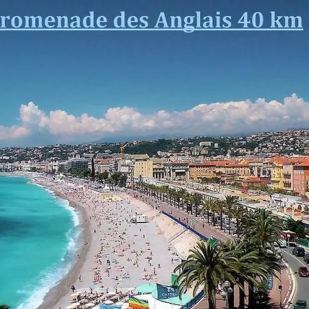 Basilic Apartamento *